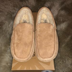 Brand New - Tan Ascot Men’s Uggs | Size 9